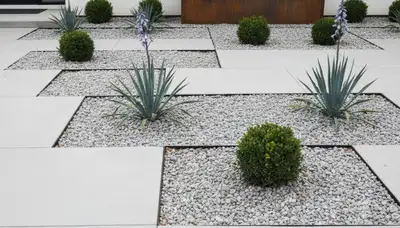 Modern pea gravel landscape with geometric lines and architectural plants in St Paul MN yard